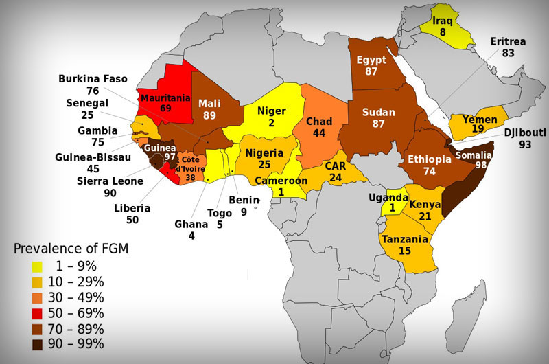Map of Female Genital Cutting Prevalence in Africa